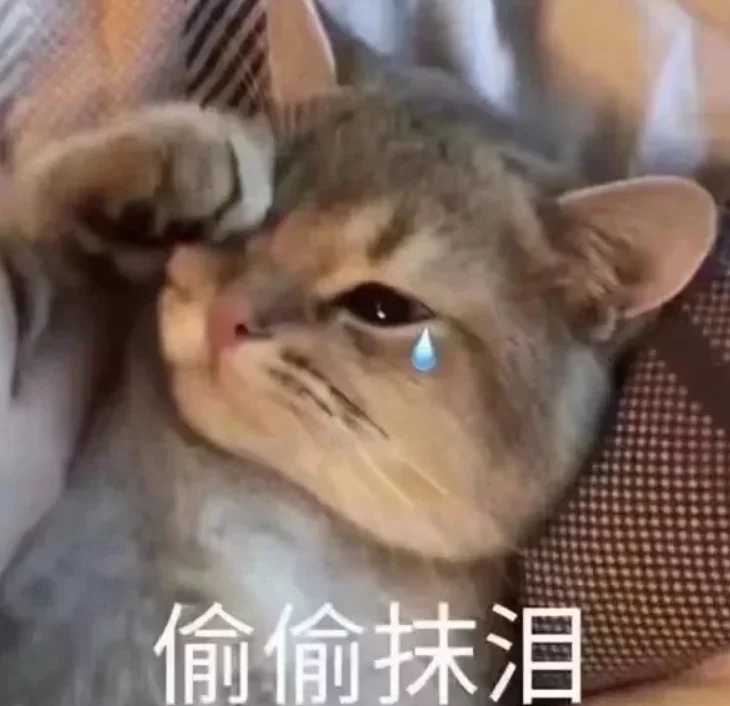 图片40.png